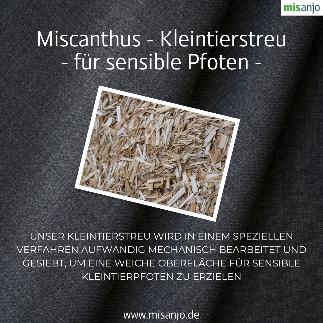 Miscanthus Kleintierstreu