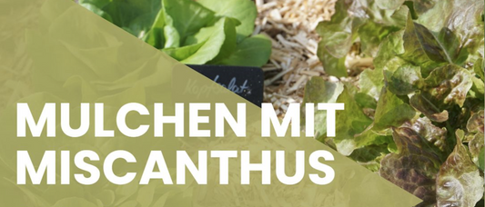 Mulchen mit Miscanthus - Ein pflegeleichter Garten dank Mulchen!