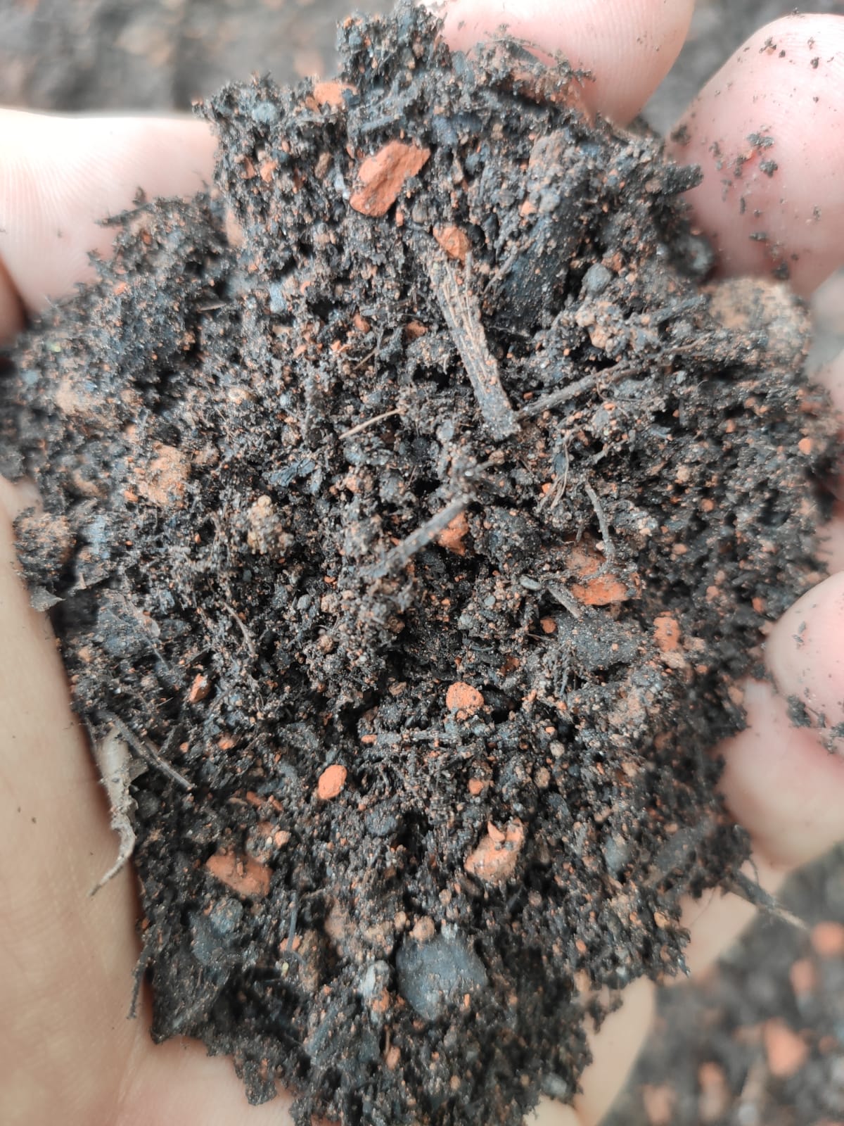 Universalerde torffrei | ökologisch | nachhaltig | regional