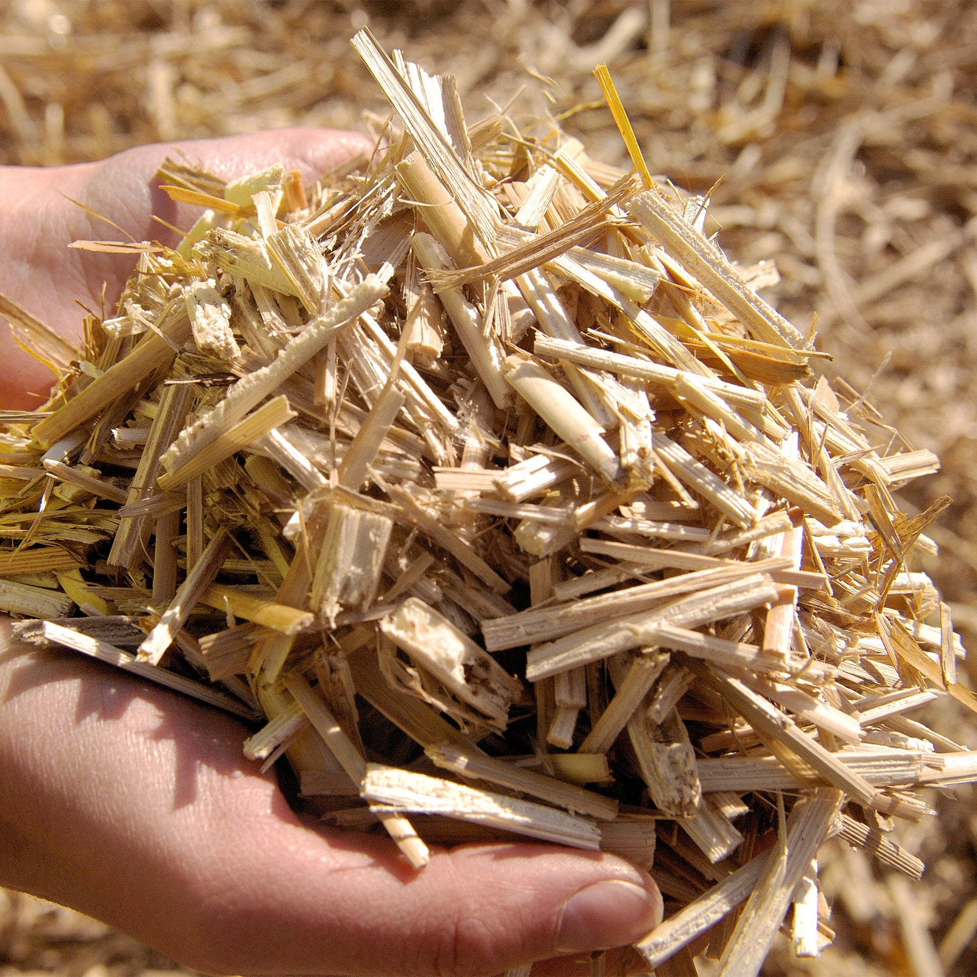 Miscanthus Gartenmulch von misanjo